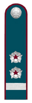 Секретарь гос.гражданской службы РФ 2 класса ФНС.png
