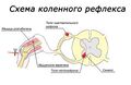 Миниатюра для версии от 17:07, 7 февраля 2024