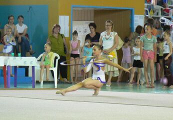 Турнир по художественной гимнастике «Краса Дона»