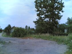 Вид на Шабаново (у ул. Нововойсковая) со стороны железной дороги Псков — Печоры