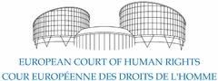 Изображение здания суда, используемое в качестве эмблемы международной организации