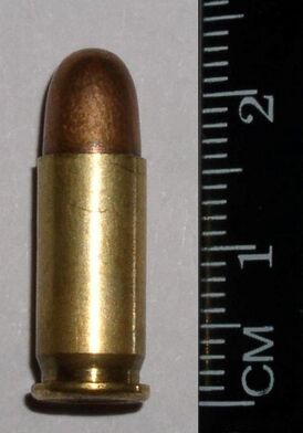 .25 ACP.jpg