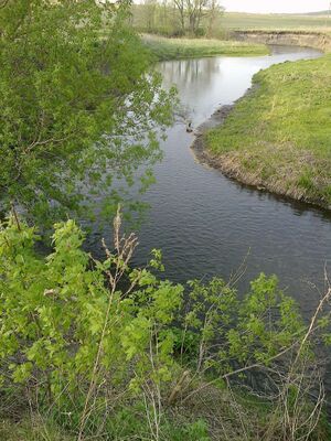 Река Урень близ Урено-Карлинского