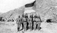Солдаты Хусейна бен Али, несущие флаг королевства Хиджаз, во время Арабского восстания 1916―1918 годов