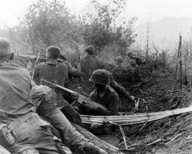 Солдаты 101-й вдд в бою. Операция «Hawthorne», июнь 1966 г., Южный Вьетнам