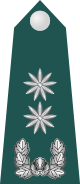 14.SKA-LTC.svg