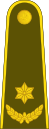 16-Lithuania Army-MAJ.svg