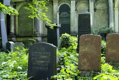 Старое еврейское кладбище во Вроцлаве