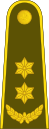 17-Lithuania Army-LTC.svg