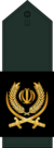 Brigadier General