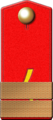 Оружейный мастер 1-го разряда 15-го пехотного Шлиссельбургского и 16-го пехотного Ладожского полков (погон по состоянию на 1864—1874 годы)