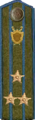 погон 1943