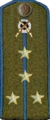 погон 1943