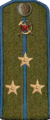 погон 1943