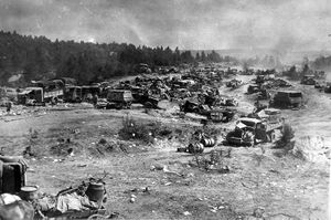 Колонна 9-й армии вермахта, разгромленная ударом с воздуха неподалёку от Бобруйска.