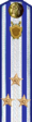 погон 1956