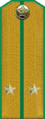 погоны 1946