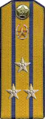 погоны 1956