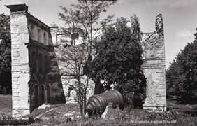 Руины дворца, 1954 г.
