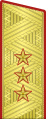 Парадный погон генерал-полковника танковых войск СА ВС СССР с 1955 по 1984 год.