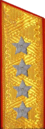 погоны 1955