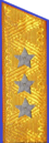 погон 1955