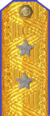 погон 1955