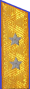 погон 1955