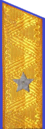 погон 1955