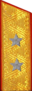 погон 1955