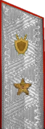 погоны 1943