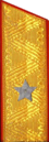 погон 1943