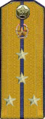 погоны 1956