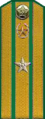 погоны 1956