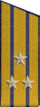 погоны 1956