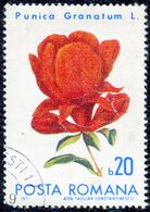 Румынская марка 1971 года