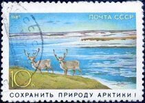 Сохранить природу Арктики, 1989