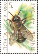 Серия «Пчеловодство»: Трутень( (ЦФА [АО «Марка»] № 6069), 1989 год).