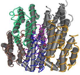 Молекулярная структура интерферона-α