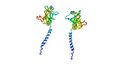 Положение двух белков Риске в Цит. b6f.