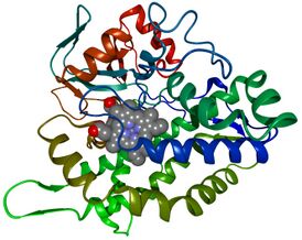 Молекула цитохрома P450eryF