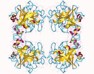 Тетрамер альфа-1-триптазы человека