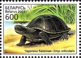 Болотная черепаха на белорусской марке