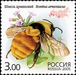 2005. Марка России stamp hi12612324614b2ce14dca1a2.jpg