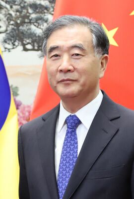 Ван Ян в 2019 году