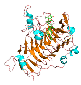 Пектиновая метилэстераза из Dickeya dadantii в комплексе с гексасахаридом. PDB 2ntb [1]