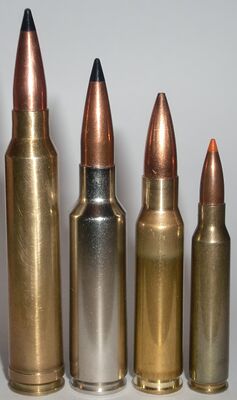 Слева направо: .300 Winchester Magnum, .300 WSM, .308 Winchester и .223 Remington