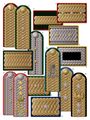 Гражданские плетеные погоны 1894—1910 гг.[18]