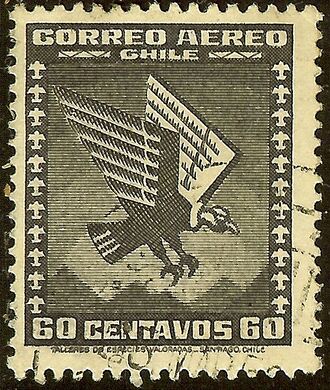 1935: андский кондор