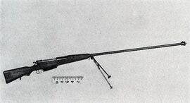 Противотанковое ружьё Wz.35